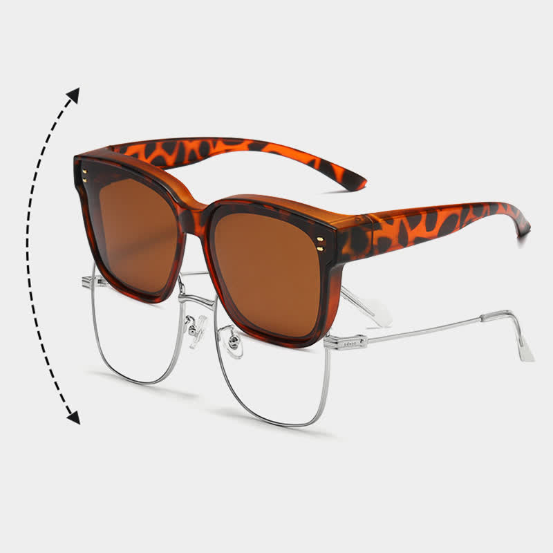 Tortoise Shell  A