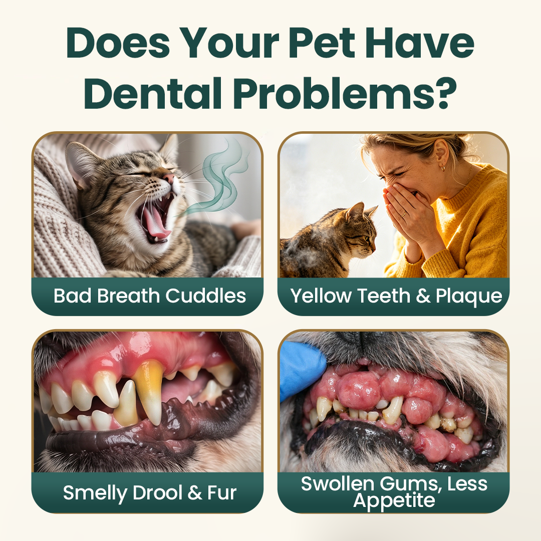 Timilk® TrustedPet Oral Care Spray - Easy Daily Dental Support